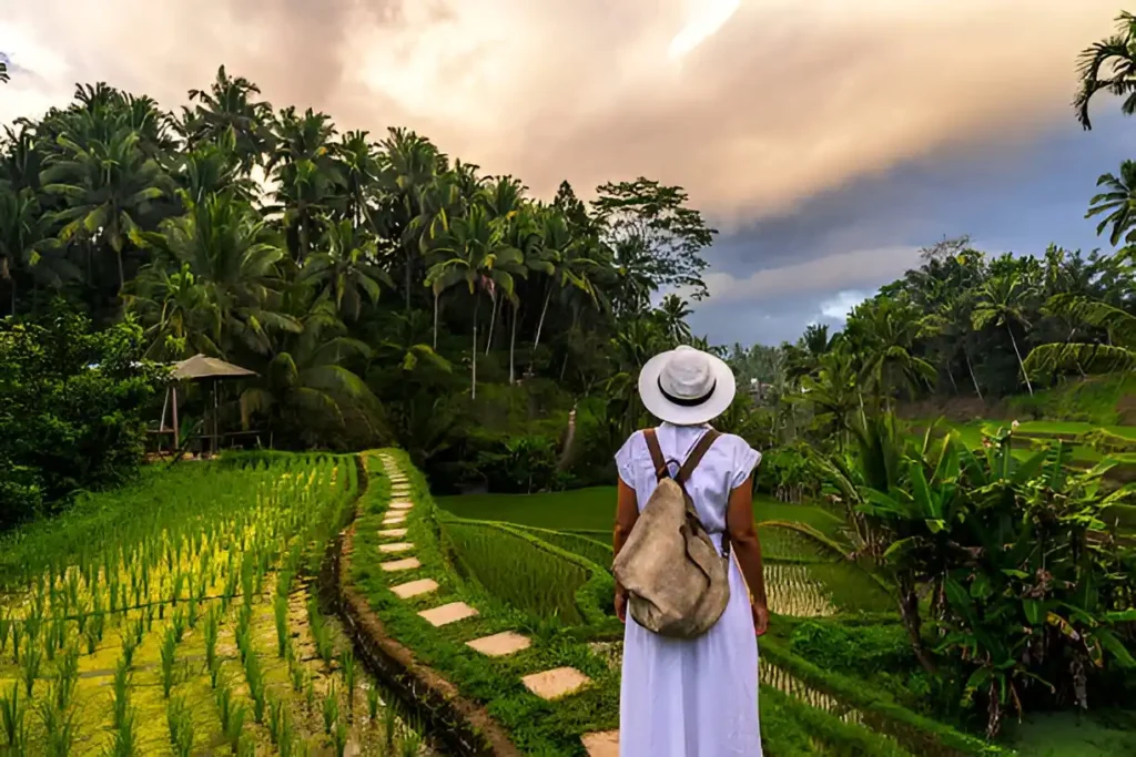 Things to do in ubud