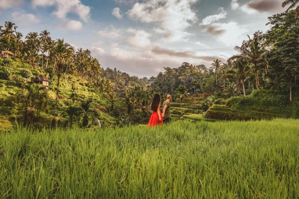 romantic couple walking in rice terraces bali