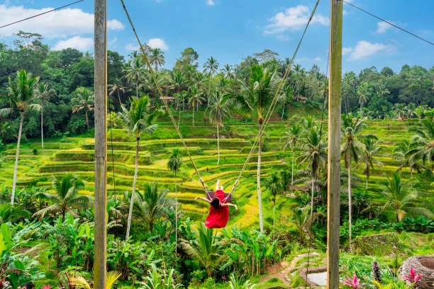 Bali Swing and Adventure Spots at tegalalang rice terraces