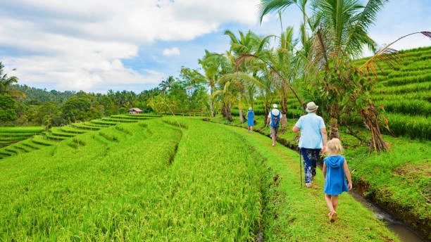 Family in ubud rice terraces