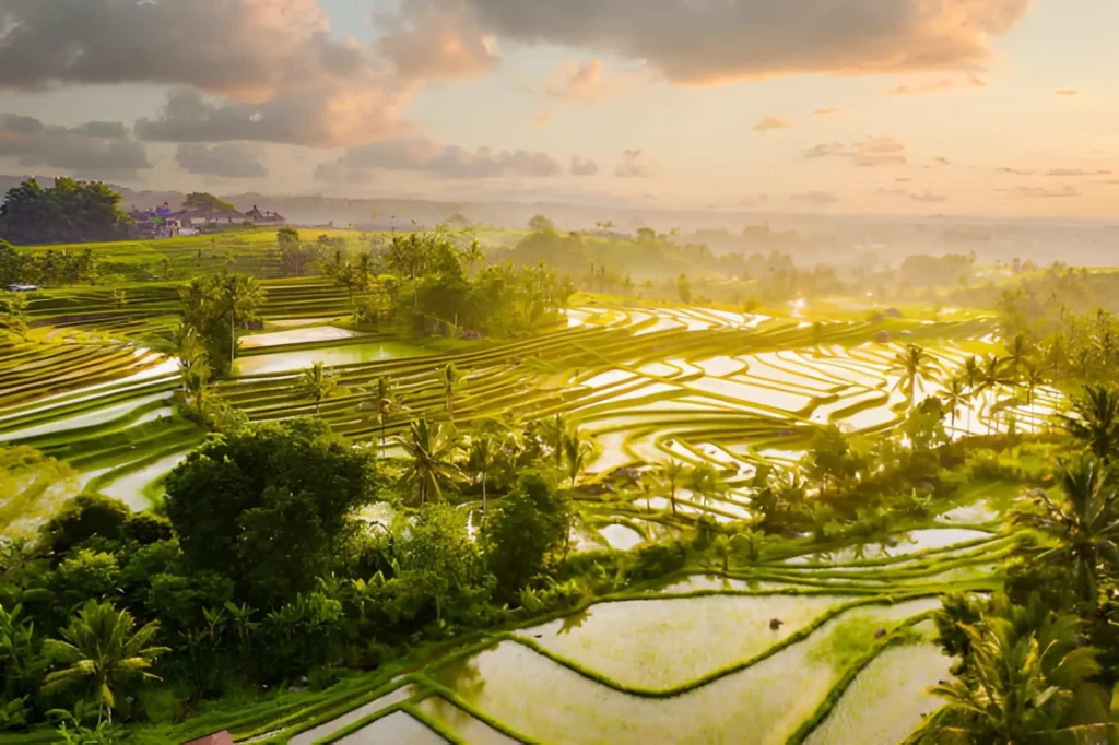 Jatiwulih Rice Terraces