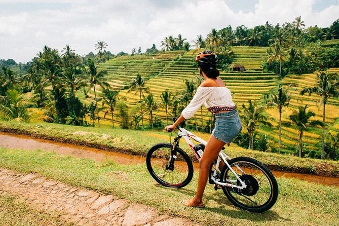 cycling in jatiluwih rice terraces