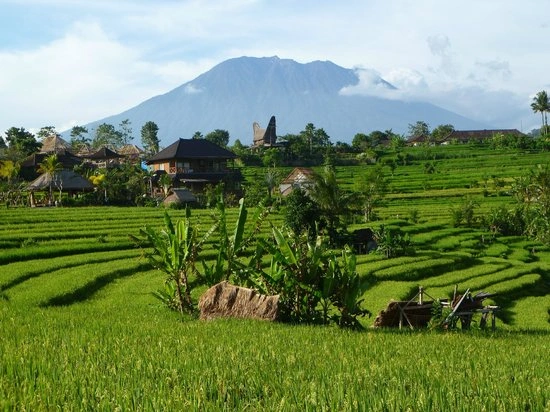 Villa in Sidemen valley bali
