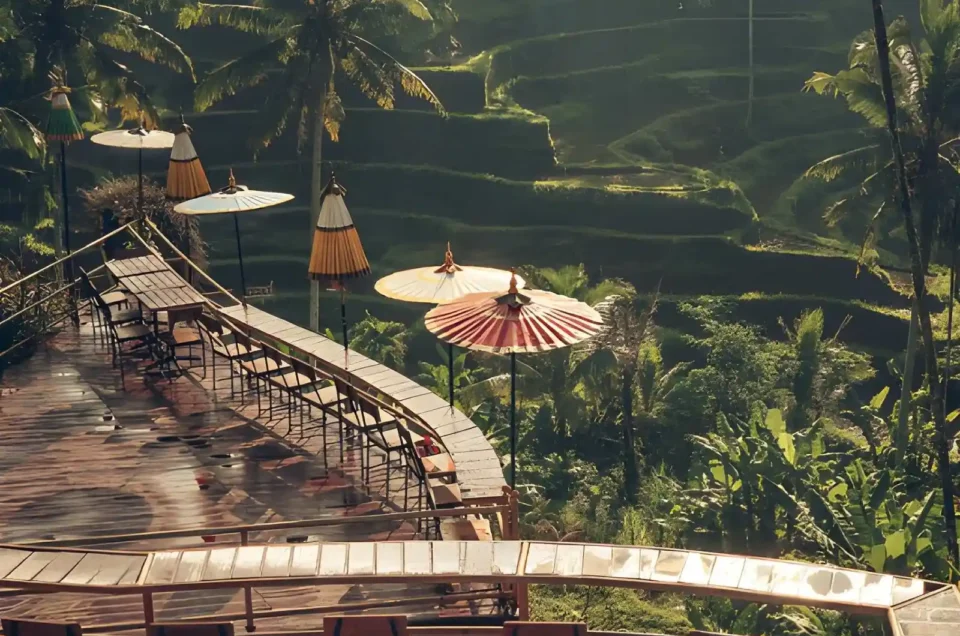 7 Best Ubud Cafes with Rice Field Views for a Relaxing Break