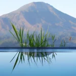 Best Kintamani Hot Springs