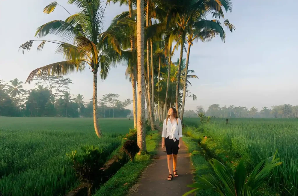 Scenic Walk in Ubud