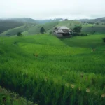 Best Places to Escape Crowds in Bali
