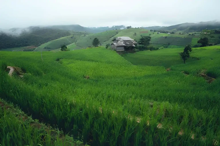Best Places to Escape Crowds in Bali