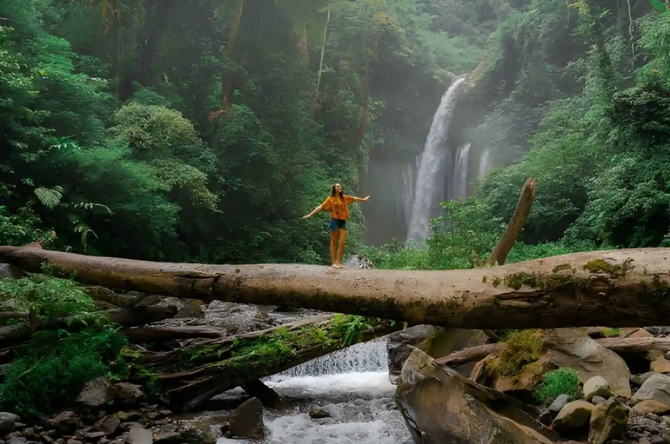 Mid-Year Escape to Bali