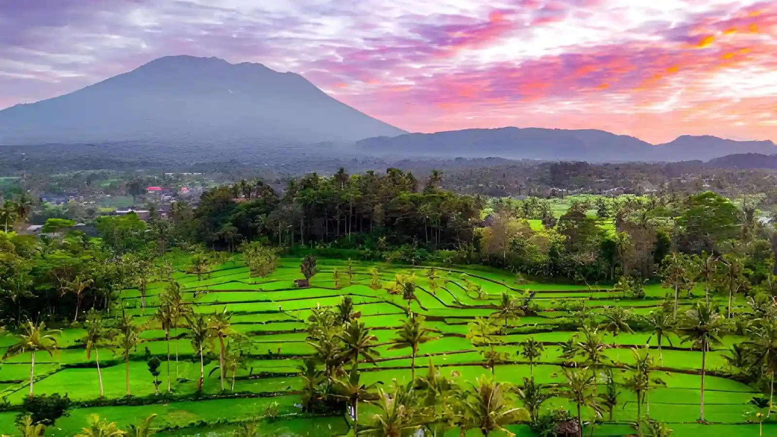 Rice terrace in sidemen