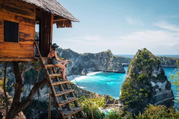 Rumah Pohon nusa penida