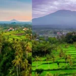 Sidemen vs Ubud bali