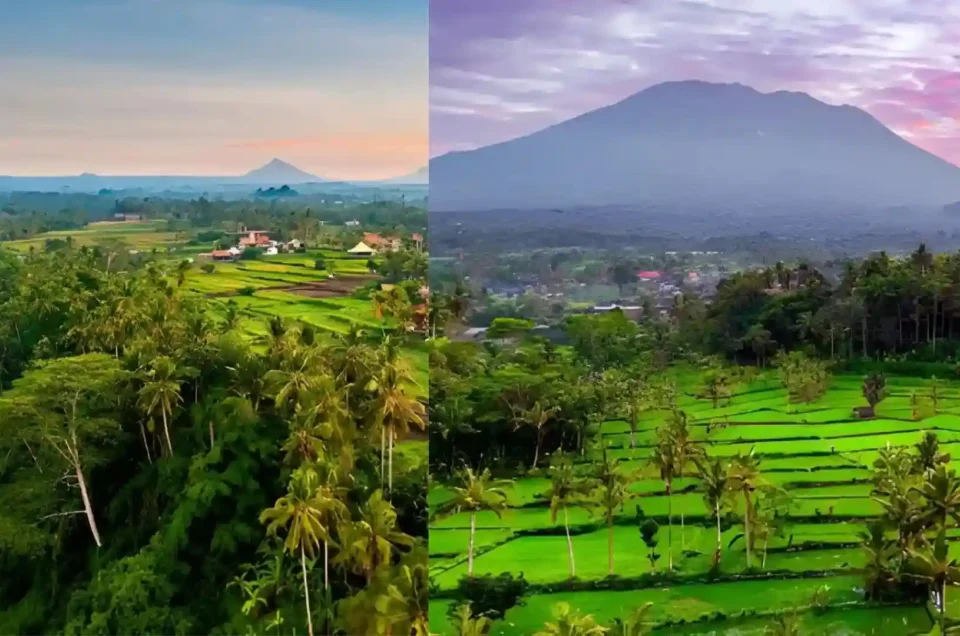 Sidemen vs Ubud: Which Bali Destination Fits Your Travel Style Better?