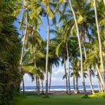 reason to visit bali in summer holiday