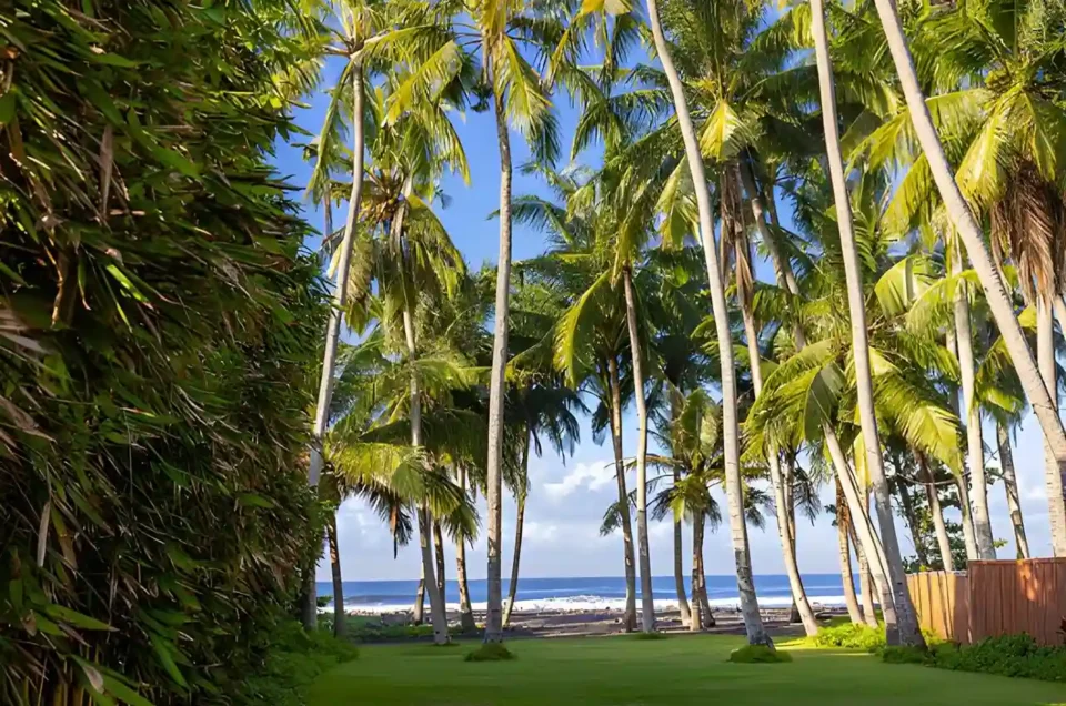 Bali in Summer: 10 Reasons Why June – August Is the Best Time for Your Bali Holiday