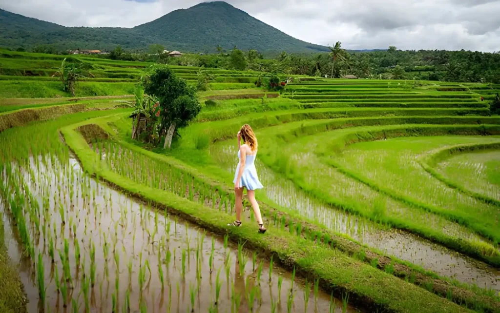 Fun Activities to Do During Summer Holidays in Bali