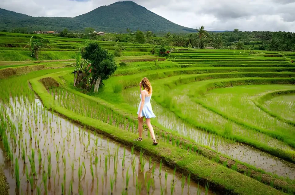 Fun Activities to Do During Summer Holidays in Bali