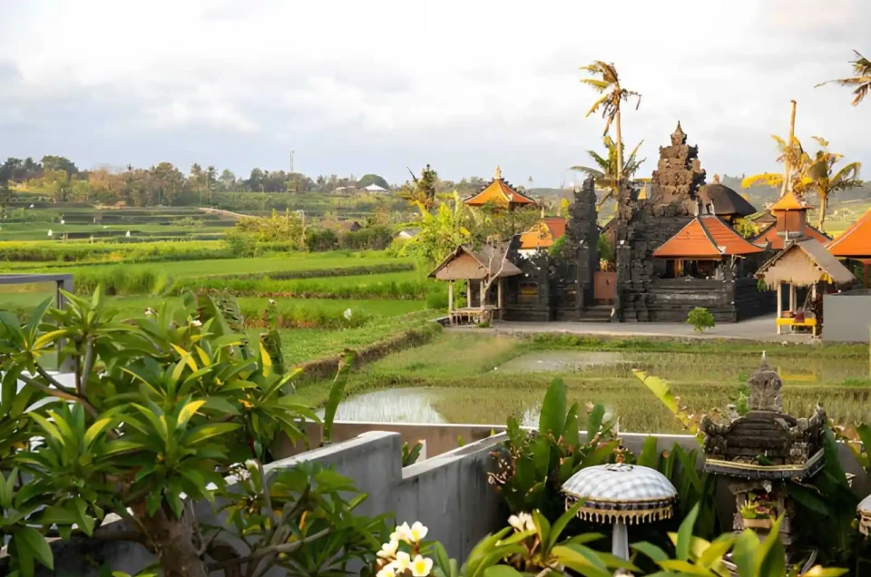 Seminyak vs Canggu vs Ubud: Which Bali Destination Is Right for You?