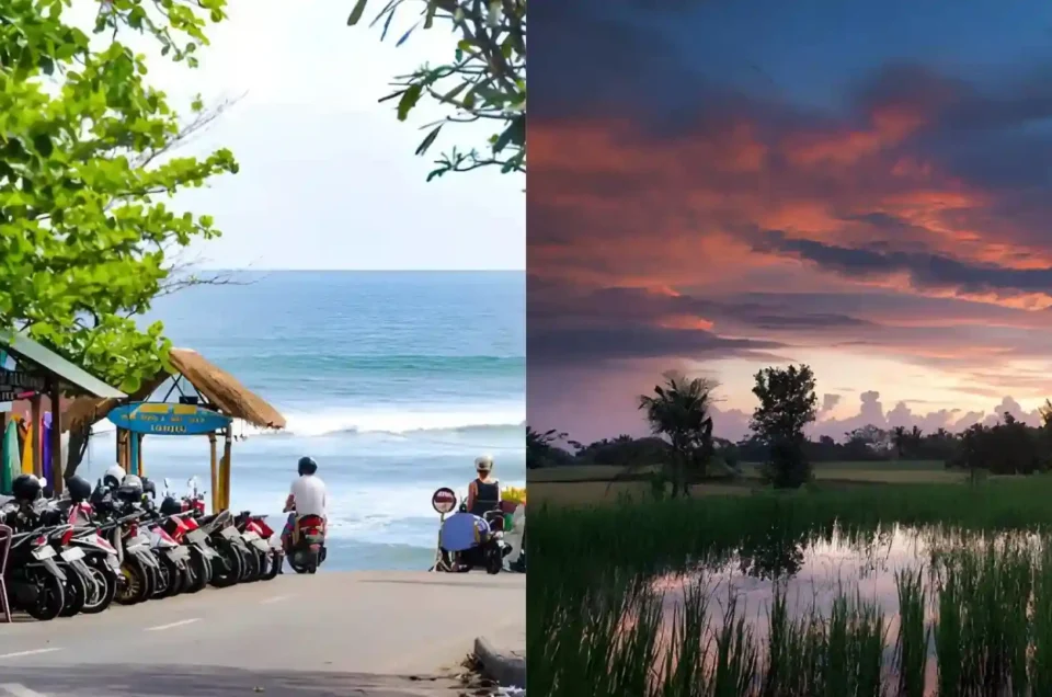Ubud or Canggu? Which Bali Destination Fits You Best
