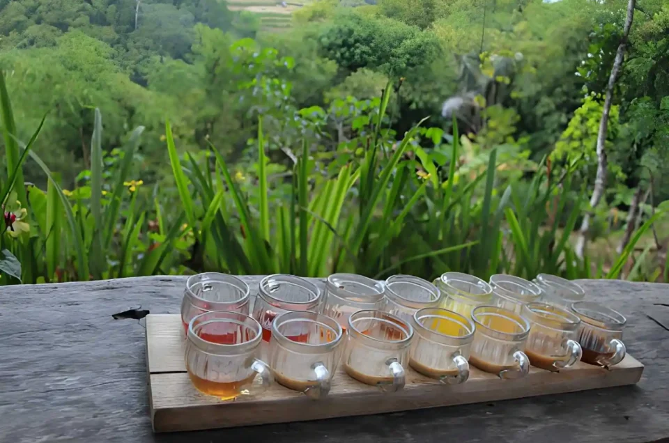 Bali Coffee Plantation Experience