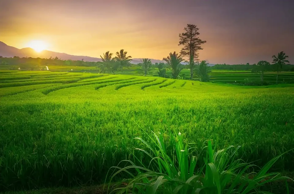 Visiting Bali in October Weather, Things to Do & Tips